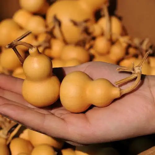 天然葫芦精品小葫芦把件手捻葫芦文玩葫芦摆件葫芦大种植基地批发