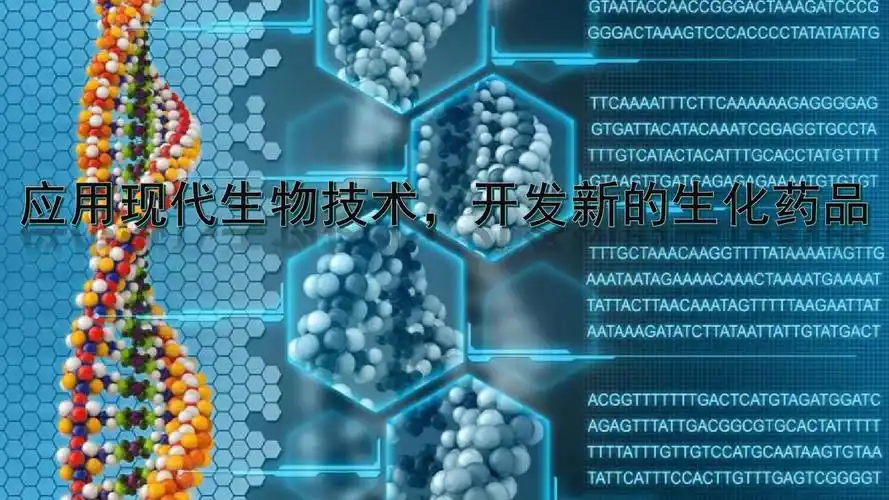 应用现代生物技术ppt