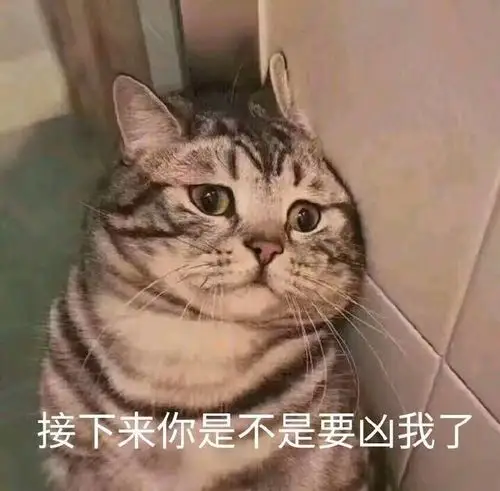 一组萌萌的猫咪表情包点赞吸个猫吧