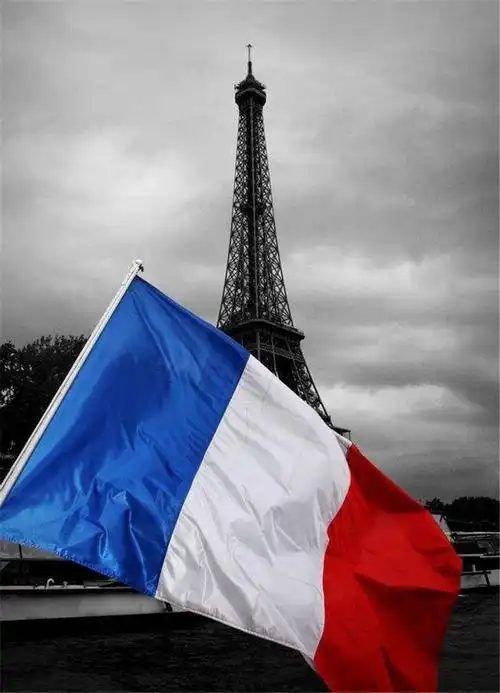 包邮 法国国旗 4号旗 90*150cm 3*5ft 世界各国 防晒环保涤纶旗帜