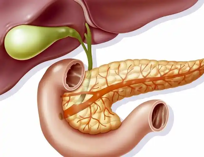 胰腺癌最擅长伪装超过60的胰腺癌被误诊为胃病你都知道吗
