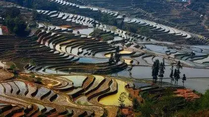 红河哈尼梯田规模宏大,气势磅礴,绵延整个红河南岸的红河,元阳,绿春及