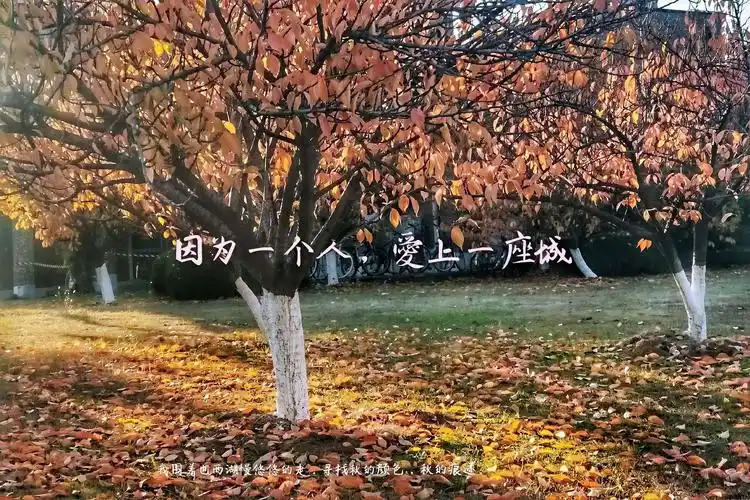 摄影散文诗:因为一个人,爱上一座城