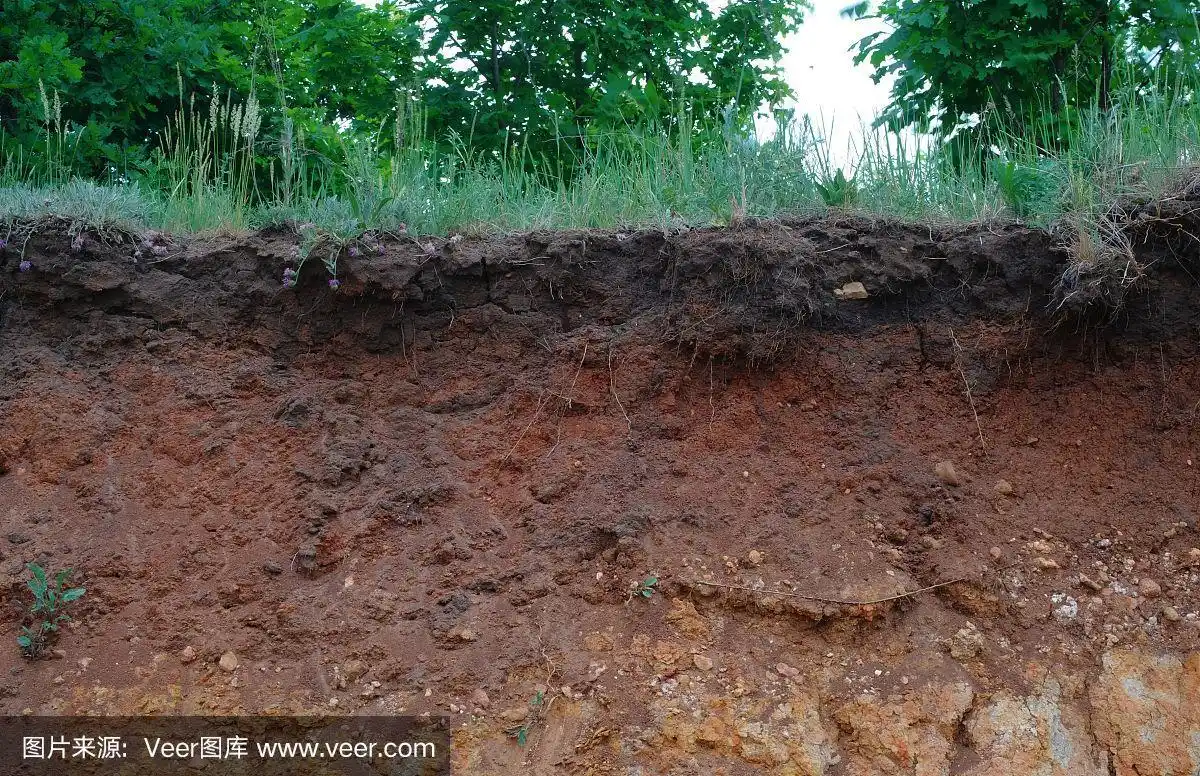 地下土层的细节