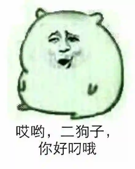 哎呦二狗子你好吊哦搞笑表情包斗图表情