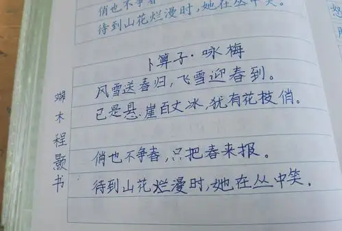 《卜算子咏梅》