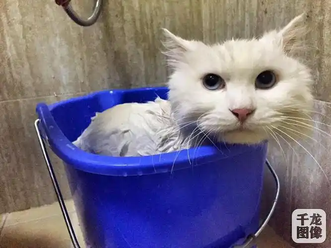 [图像策划]戏水拍摄:"落汤鸡"如何美美哒