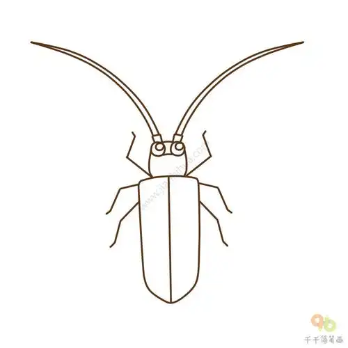 千千小课堂第9期可爱的天牛
