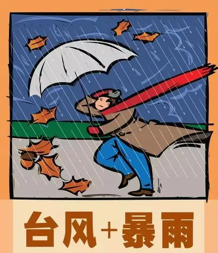 儒原温馨提示 | 台风暴雨天气安全须知