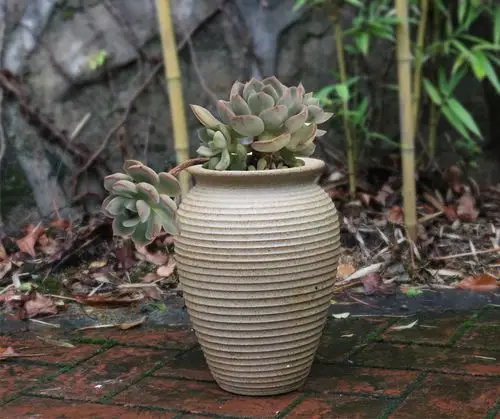 中国风多肉植物花盆复古做旧透气粗陶罐黑法师老桩盆栽大罐子