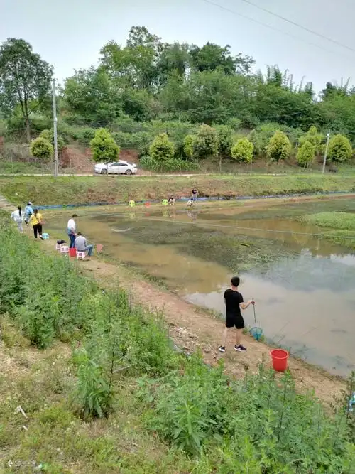 今天周末,带着儿子来资阳卓家坝钓虾子玩,全家人钓的好开心哦!