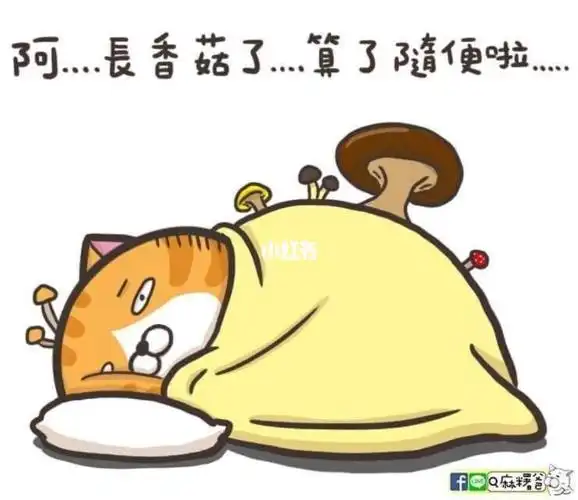 大家有乖乖在家吗