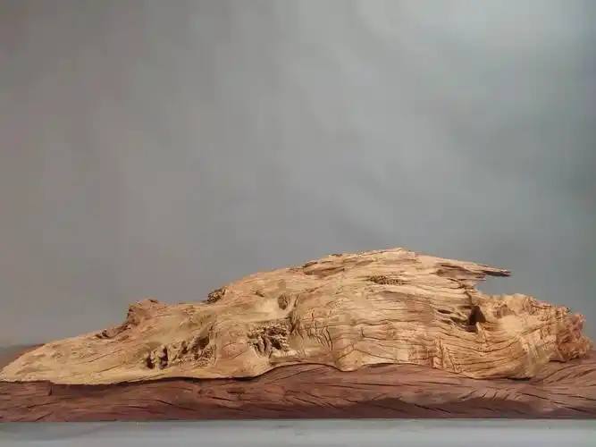 嵊县儾|精品微展:全国顶尖木雕大师作品新鲜出炉-嵊州新闻网