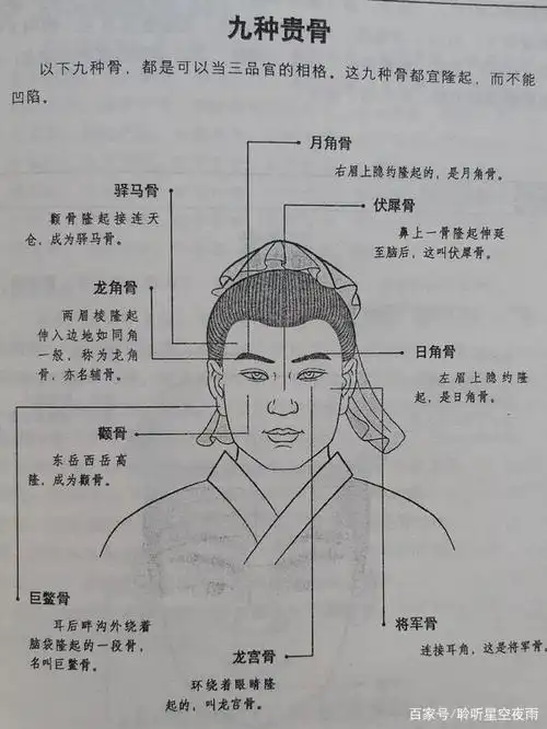 "断人前程看九骨"古代老人说"九贵骨"指的哪些部位呢?