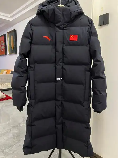 安踏国旗款鹅绒