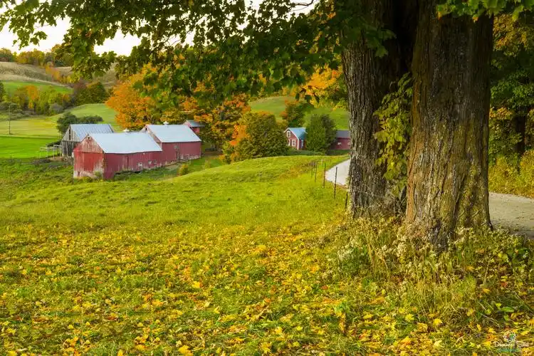 原创真实的美国农场主:230万人养活一个国家,却高压负债破产率高