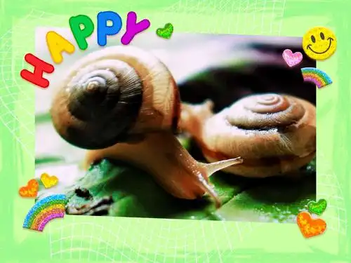 简约的美篇之~蜗牛一家亲