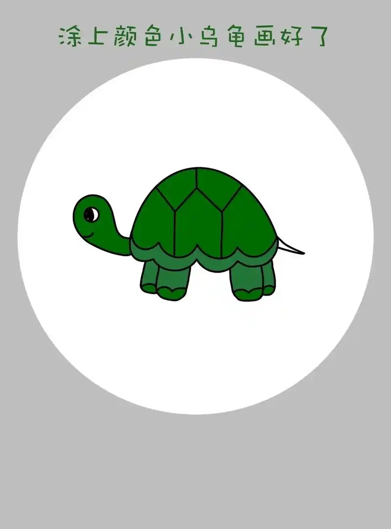 简单好画的小乌龟简笔画教程来啦!
