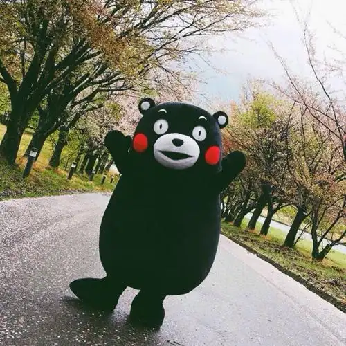 其它 大美画馆@基础班《贪吃的熊本熊》 写美篇熊