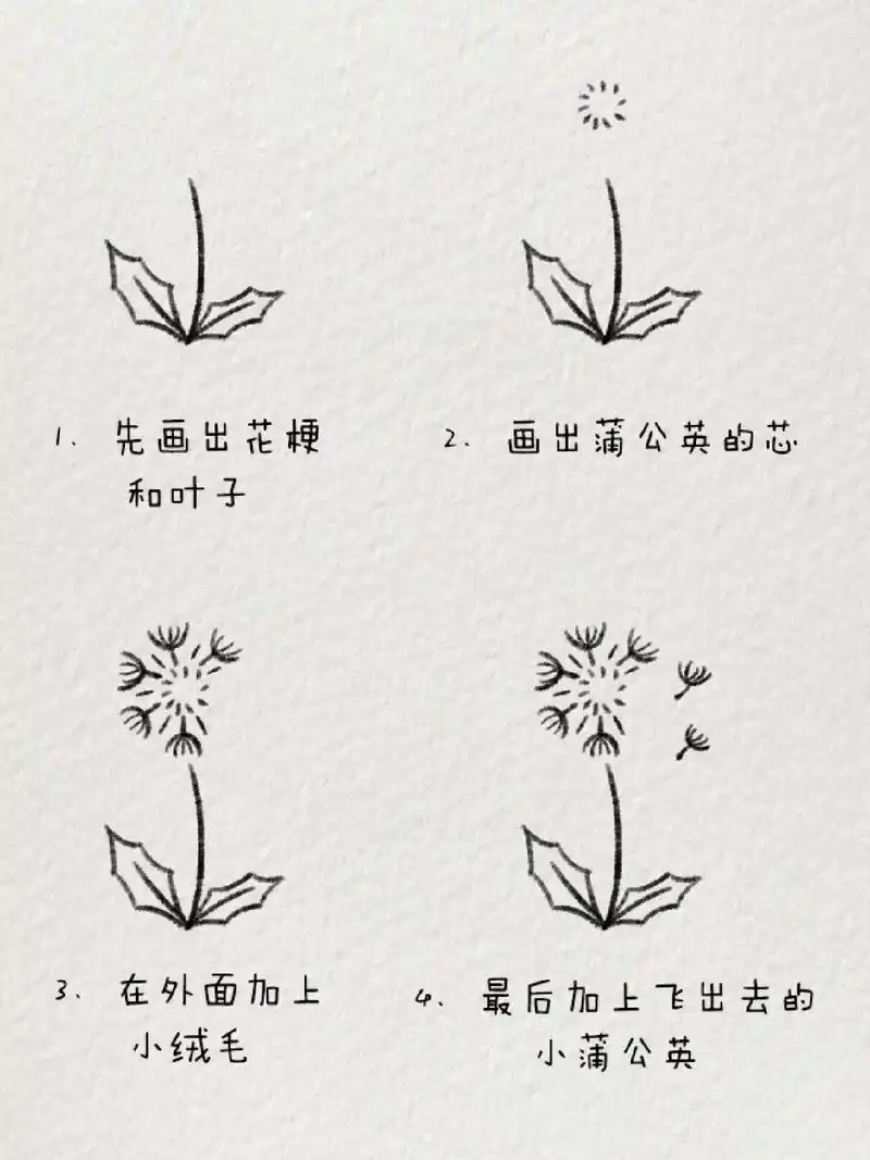 超简单的蒲公英简笔画|随风而往94 做一颗蒲公英吧,风起而行,风静而