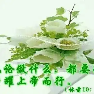 显示全部楼层 14楼                             感谢神