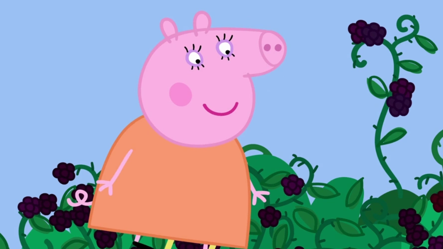 猪妈妈想要爬到最高的地方摘黑莓她能成功吗