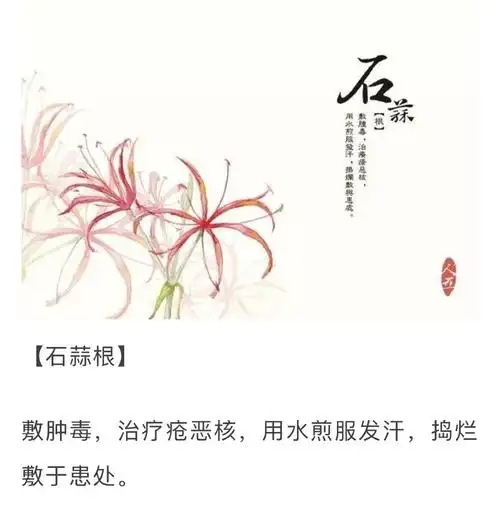 东方明珠的美篇