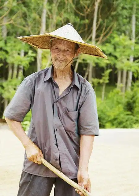 儿子公司资产上亿老父亲却在农村饿成皮包骨真相让人心酸