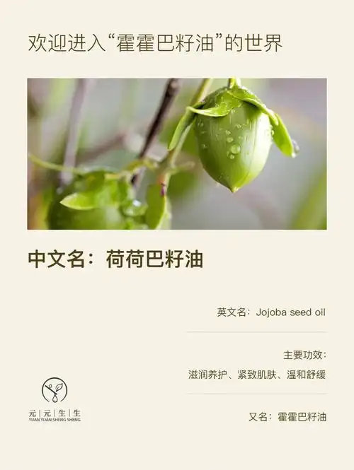 成分说05霍霍巴籽油古巴香脂精华油