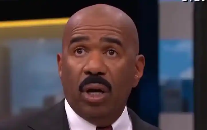 heysteve你要给狗搞个生日派对你脑子没毛病吧史蒂夫哈维脱口秀