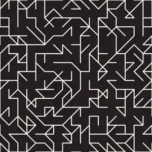 不规则的纠结形状. 抽象几何背景设计. 矢量无缝黑白混沌图案.照片