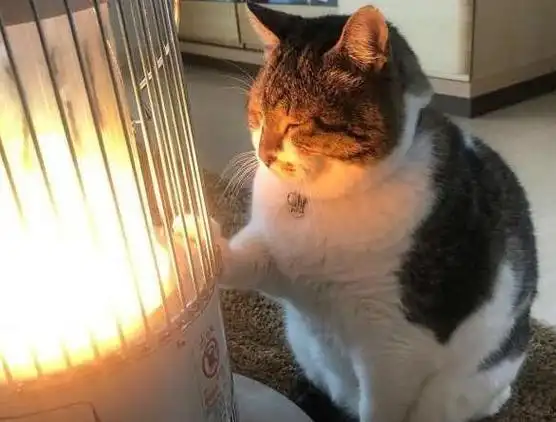 搞笑gif图:大妹子你吹小喇叭可好听啦,你老公笑的合不拢嘴