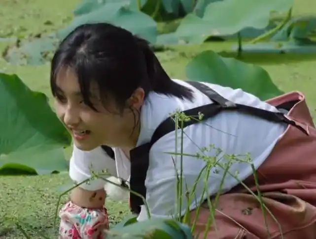 纪实:女子路过莲花池,见无人看管,竟直接跳进池子采藕