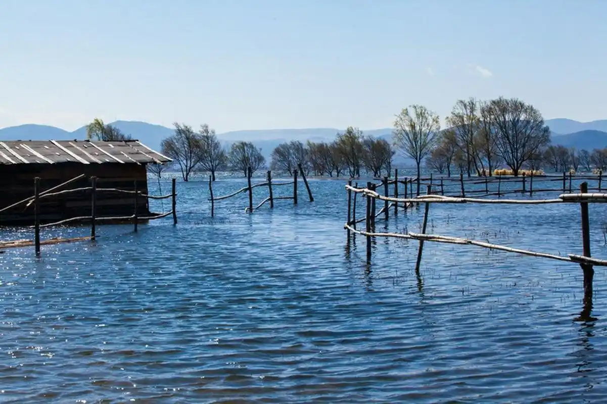 拉市海(湿地公园) 拉市海风景区 拉市海风景区位于丽江县城西面8公里