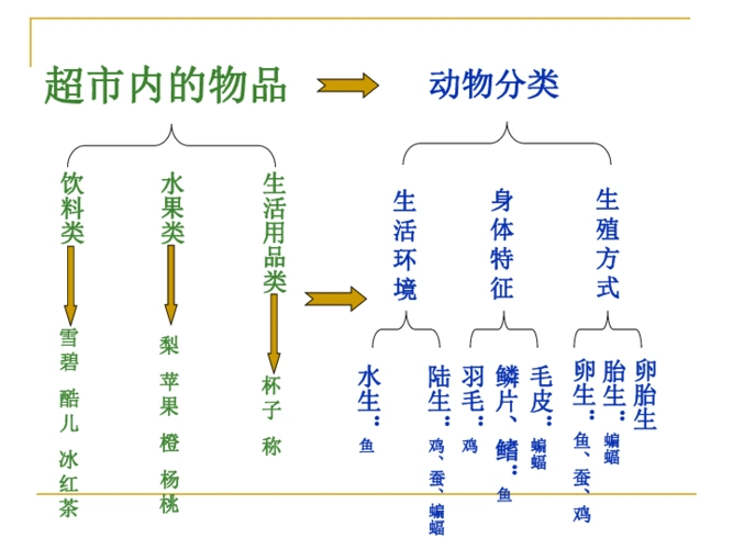 超市内的物品动物分类饮料类水果类