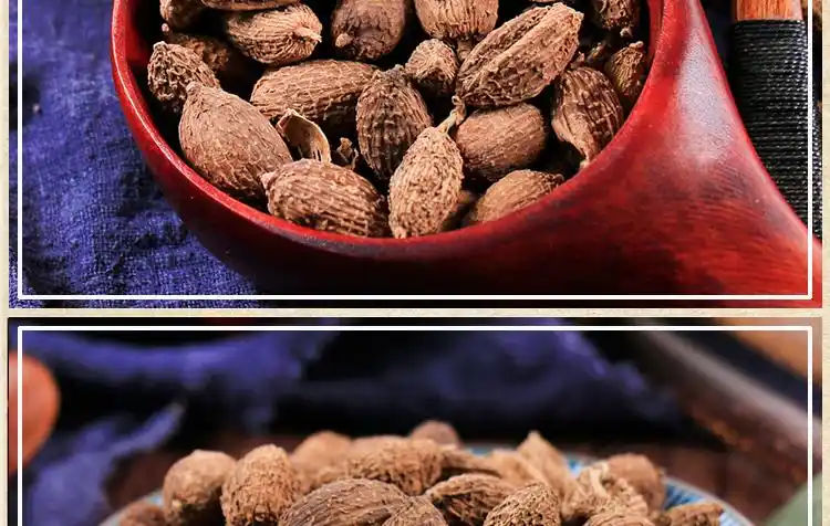 耕药堂批发砂仁砂仁粉西砂仁50g