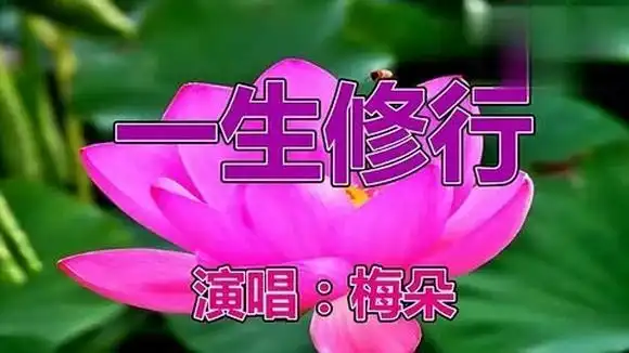 梅朵一曲佛歌《一生修行》太好听了