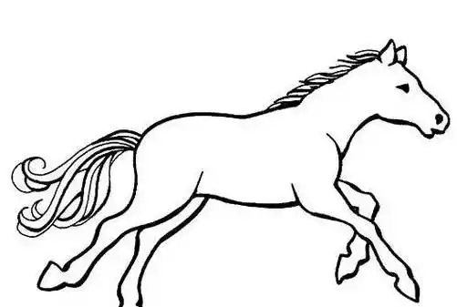 儿童简笔画宝宝学画画十二生肖动物马简笔画动物马简笔画图片马简笔画