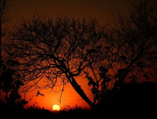 2021年第一天的夕阳