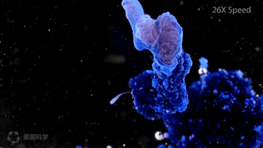 结晶过程将钠放入水2na 2h2o=2naoh h2↑《美丽化学》视频全集