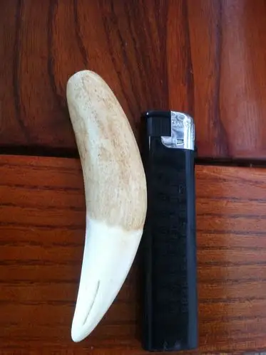 帮我看一下这颗虎牙真假,朋友说是压模的.