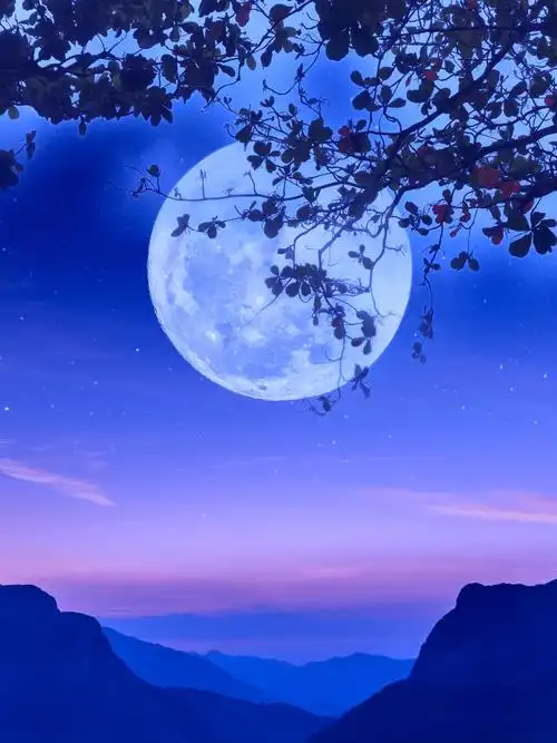 一轮明月挂树梢