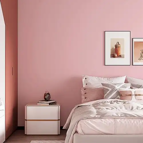 少女淡粉壁纸粉色公主粉浅藕粉肉粉儿童墙纸无纺布墙纸