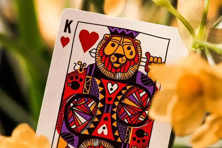 盟心theory11animalkingdom动物王国收藏花切魔术扑克牌扑克