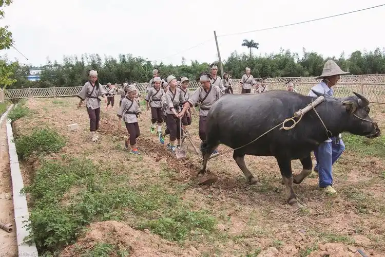 金穗乐园新升级 媒体抢先看