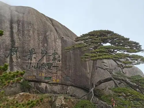 游黄山记 - 美篇