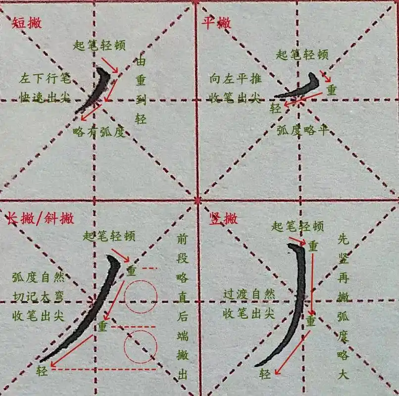 基本笔画:撇 撇画要点: 1.撇分为:短撇,平撇,长撇/斜撇,竖撇