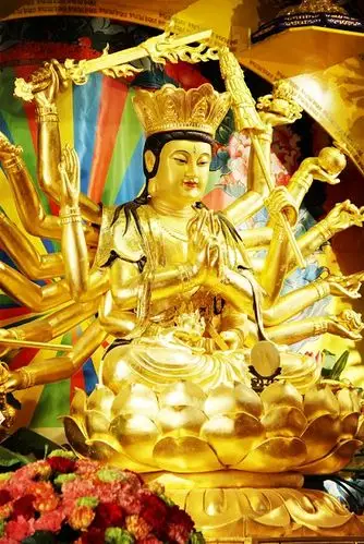 准提菩萨圣诞积福慧供灯共修已圆满