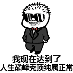 假装猪猪表情包 - 表情图