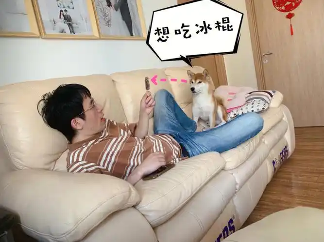 想吃冰棍的狗狗呀